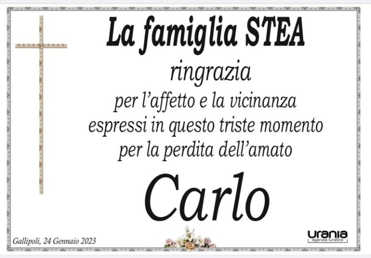 Stea Carlo